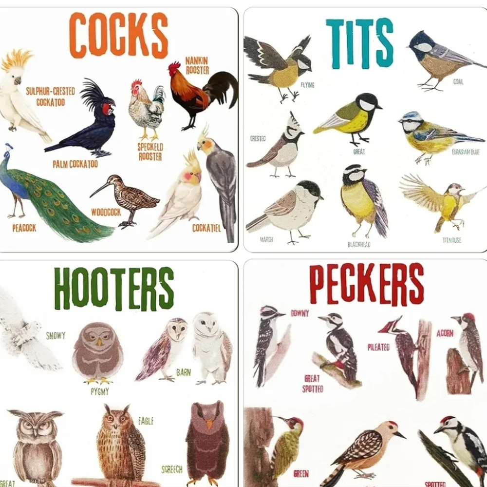 Bird Chart coasters - Picture 2 of 7